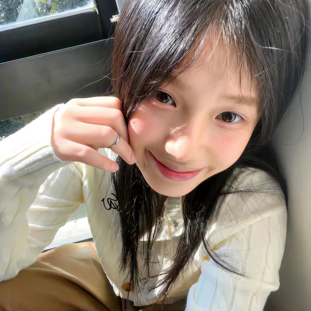 精灵宝可梦：时拉比穿越时空的相遇